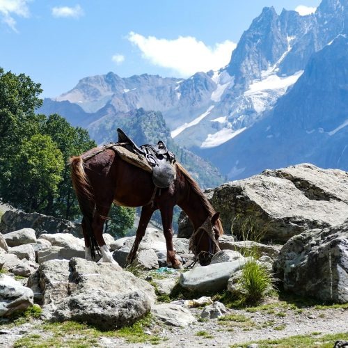himachal